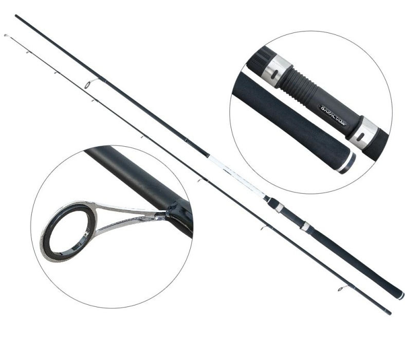 Baracuda Cyclone Spin