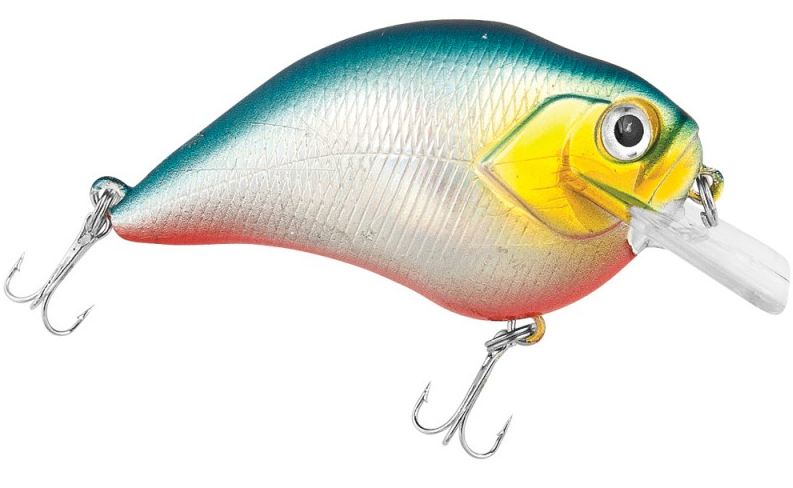 Baracuda Fishing Wobbler Rival 8cm