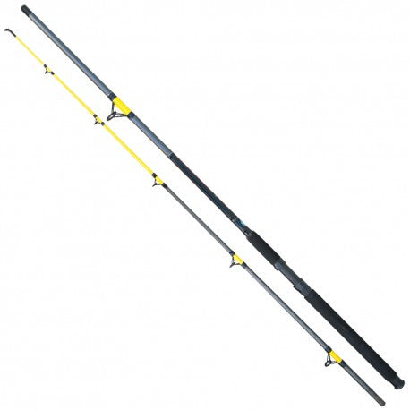 Baracuda Catfish Fighter Rod